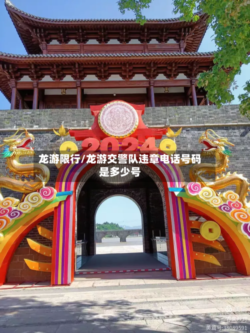 龙游限行/龙游交警队违章电话号码是多少号-第3张图片