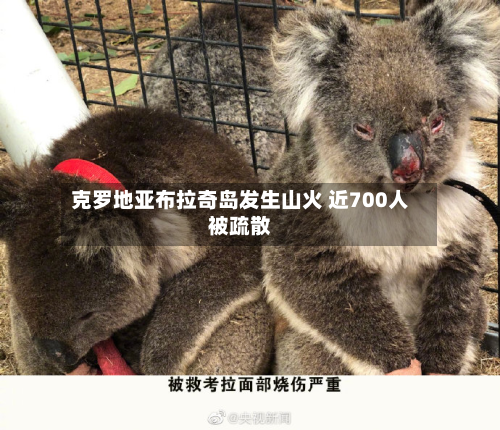 克罗地亚布拉奇岛发生山火 近700人被疏散-第3张图片