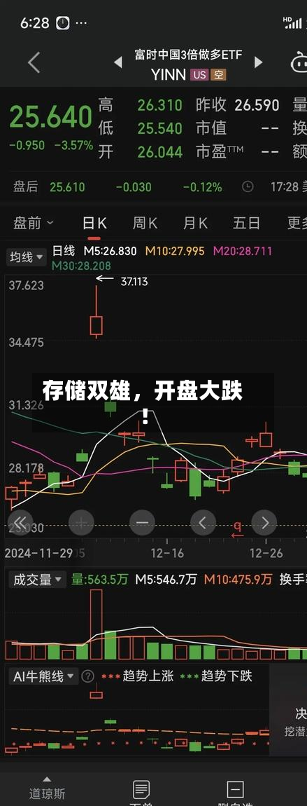 存储双雄，开盘大跌！-第2张图片