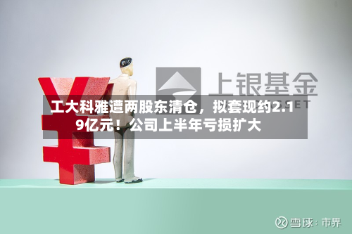 工大科雅遭两股东清仓	，拟套现约2.19亿元！公司上半年亏损扩大-第1张图片