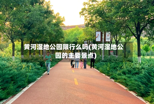 黄河湿地公园限行么吗(黄河湿地公园的主要景点)-第1张图片