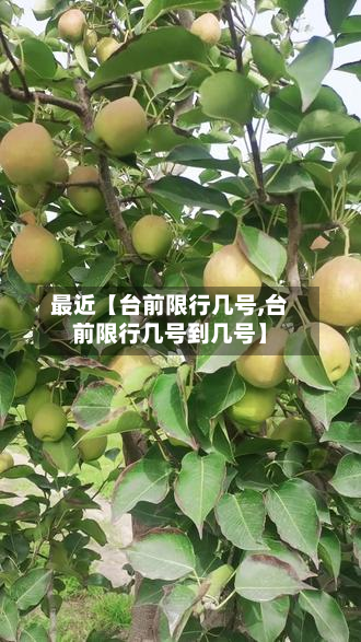 最近【台前限行几号,台前限行几号到几号】-第3张图片
