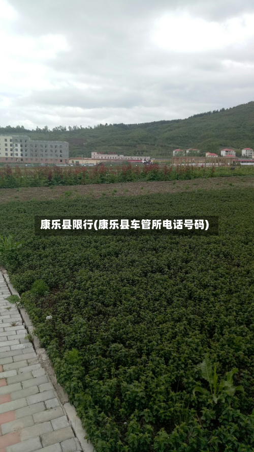 康乐县限行(康乐县车管所电话号码)-第1张图片