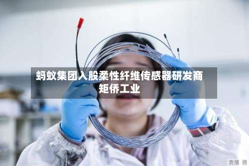 蚂蚁集团入股柔性纤维传感器研发商矩侨工业-第2张图片