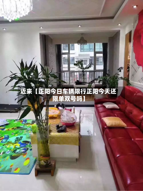 近来【正阳今日车辆限行正阳今天还限单双号吗】-第1张图片