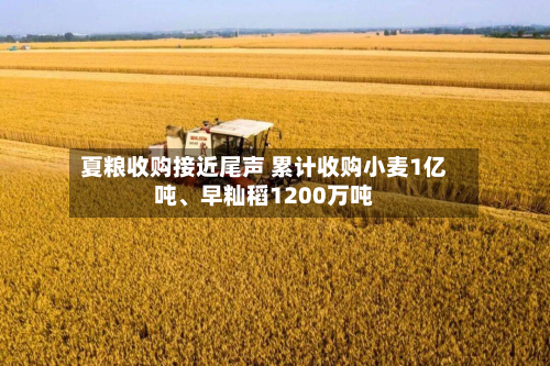 夏粮收购接近尾声 累计收购小麦1亿吨	、早籼稻1200万吨-第1张图片