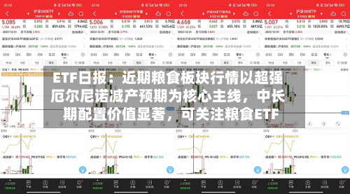 ETF日报：近期粮食板块行情以超强厄尔尼诺减产预期为核心主线，中长期配置价值显著，可关注粮食ETF-第2张图片