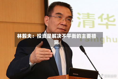 林毅夫：投资是解决不平衡的主要措施-第2张图片