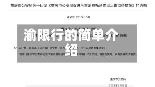 渝限行的简单介绍-第3张图片