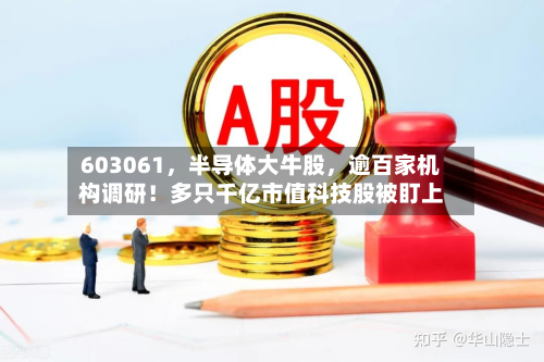 603061	，半导体大牛股，逾百家机构调研！多只千亿市值科技股被盯上-第1张图片
