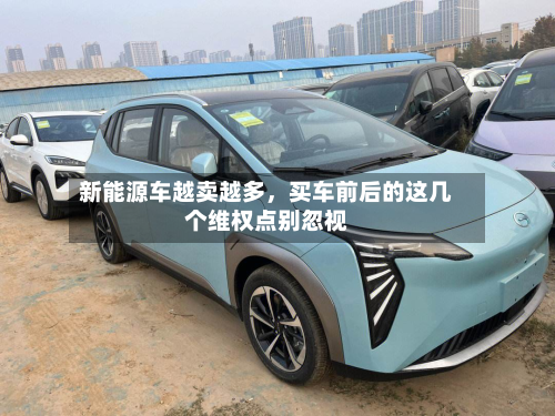 新能源车越卖越多	，买车前后的这几个维权点别忽视-第2张图片