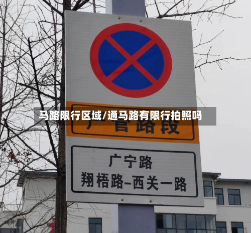 马路限行区域/通马路有限行拍照吗-第2张图片