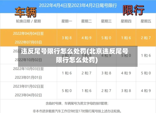 违反尾号限行怎么处罚(北京违反尾号限行怎么处罚)-第1张图片