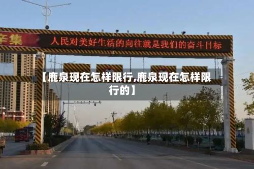 【鹿泉现在怎样限行,鹿泉现在怎样限行的】-第1张图片