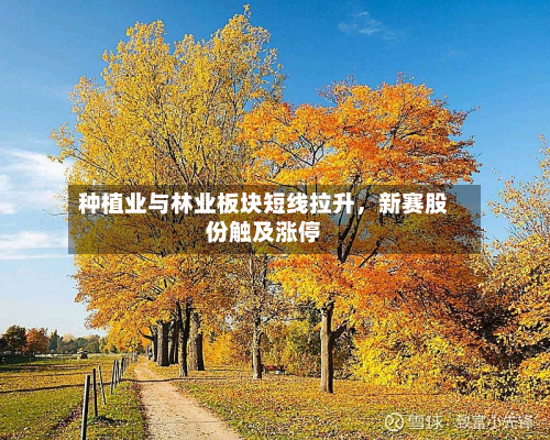 种植业与林业板块短线拉升，新赛股份触及涨停-第1张图片