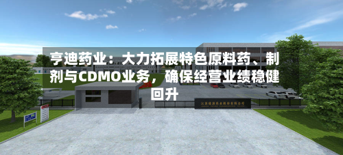 亨迪药业：大力拓展特色原料药	、制剂与CDMO业务	，确保经营业绩稳健回升-第1张图片