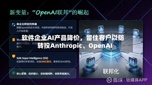 软件企业AI产品降价，留住客户以防转投Anthropic、OpenAI-第3张图片
