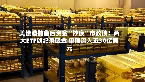 美债遭抛售后资金“抄底”市政债！两大ETF创纪录吸金 单周流入近30亿美元-第2张图片