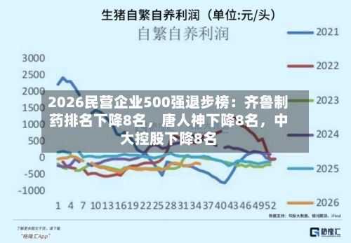 2026民营企业500强退步榜：齐鲁制药排名下降8名，唐人神下降8名	，中大控股下降8名-第2张图片
