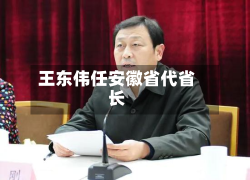 王东伟任安徽省代省长-第1张图片
