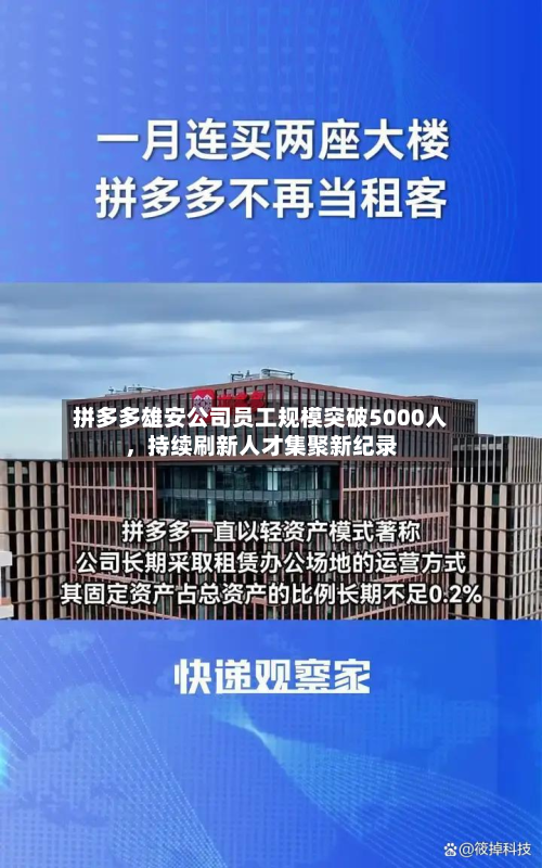 拼多多雄安公司员工规模突破5000人	，持续刷新人才集聚新纪录-第3张图片